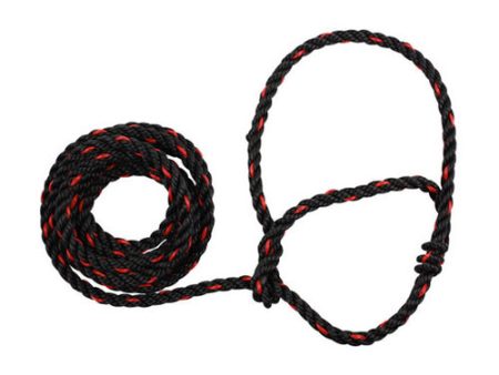 Poly Rope Cattle Halter Black Red 1 Count by Sullivan Supply, Inc. Online Hot Sale