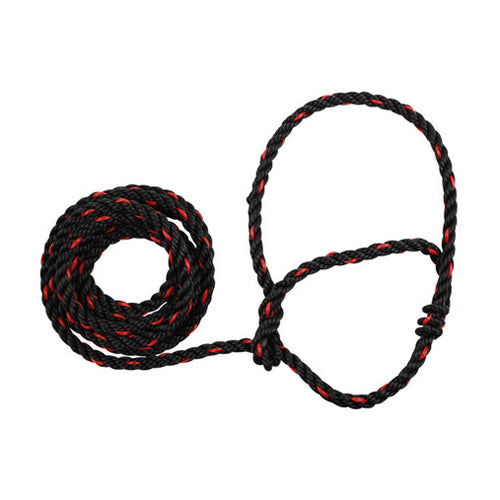 Poly Rope Cattle Halter Black Red 1 Count by Sullivan Supply, Inc. Online Hot Sale