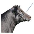 Rolled Nose Leather Show Cow Halter Small Black 1 Count by Sullivan Supply, Inc. Supply