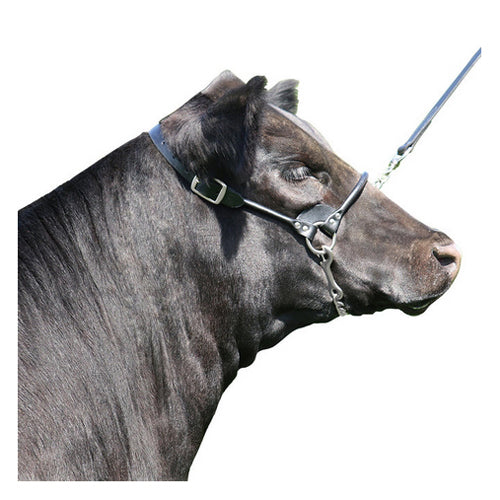 Rolled Nose Leather Show Cow Halter X-Small Black 1 Count by Sullivan Supply, Inc. on Sale