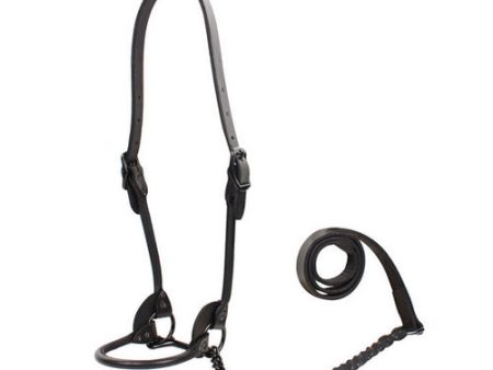 1st Class Leather Show Halter Small Black 1 Count by Sullivan Supply, Inc. Cheap