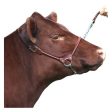 Rolled Nose Leather Show Cow Halter Large Brown 1 Count by Sullivan Supply, Inc. Online Hot Sale