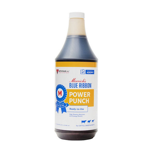 Blue Ribbon Power Punch 32 Oz by Merricks Online now