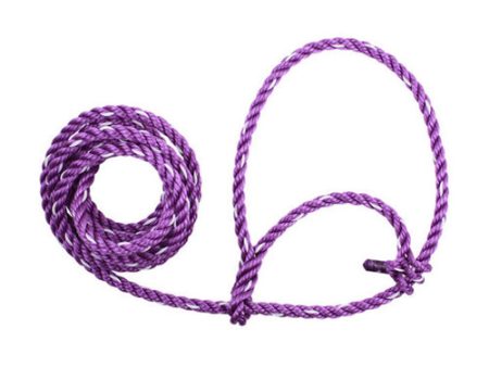 Poly Rope Cattle Halter Purple White 1 Count by Sullivan Supply, Inc. Online now