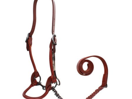 1st Class Leather Show Halter Large Brown 1 Count by Sullivan Supply, Inc. Online Sale