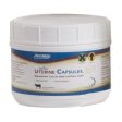 Royal Uterine Capsules 20 Count by Van Beek Hot on Sale