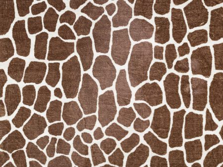 Dalyn Akina AK1 Chocolate Area Rug Hot on Sale