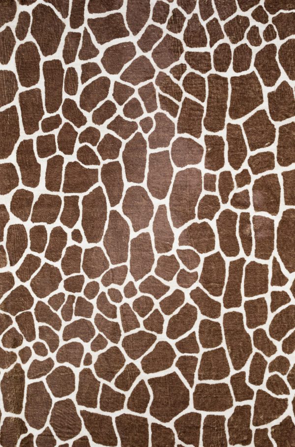 Dalyn Akina AK1 Chocolate Area Rug Hot on Sale