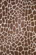 Dalyn Akina AK1 Chocolate Area Rug Hot on Sale