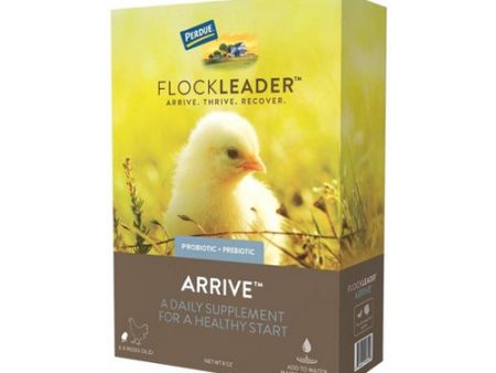 FlockLeader ARRIVE Poultry Supplement 8 Oz by Flockleader For Sale