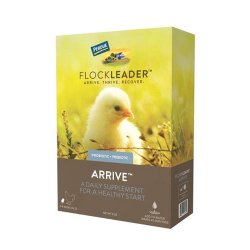 FlockLeader ARRIVE Poultry Supplement 8 Oz by Flockleader For Sale