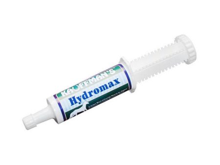 Hydromax Electrolyte Equine Paste 2.12 Oz by Kauffmans Online Hot Sale