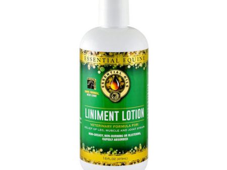 Liniment Lotion 473 ml 16 Oz by Essential Equine For Discount