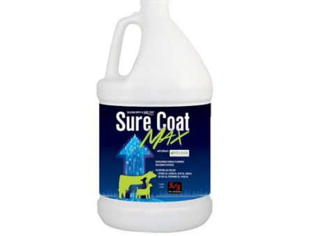 Sure Coat Max 1 Gallon by Sullivan Supply, Inc. Online Hot Sale