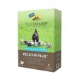 FlockLeader RECOVER PLUS Poultry Supplement 8 Oz by Flockleader Hot on Sale