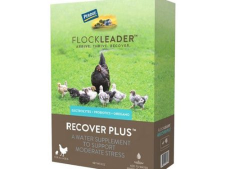 FlockLeader RECOVER PLUS Poultry Supplement 8 Oz by Flockleader Hot on Sale