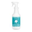 Ultra Easy Clean Instant Spot Remover 32 Oz by Ultra Online now