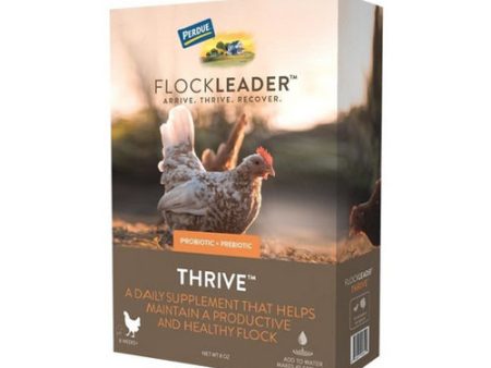 FlockLeader THRIVE Poultry Supplement 8 Oz by Flockleader Discount