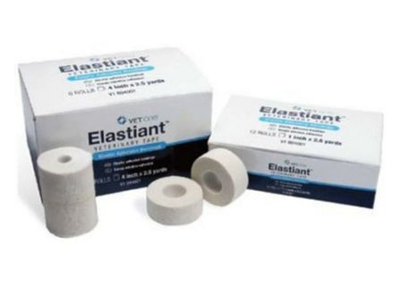 Elastiant Elastic Tape - 2  x 2.5 yds 6 Count by Vetone Online now