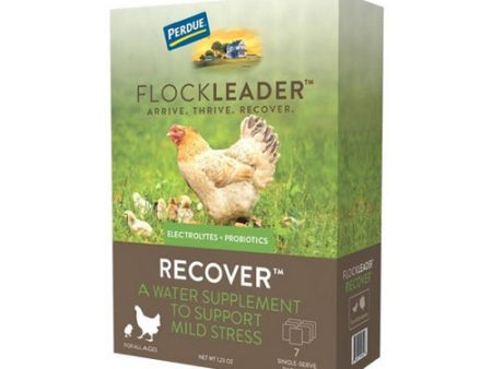 FlockLeader RECOVER Poultry Supplement 1.23 Oz by Flockleader Hot on Sale