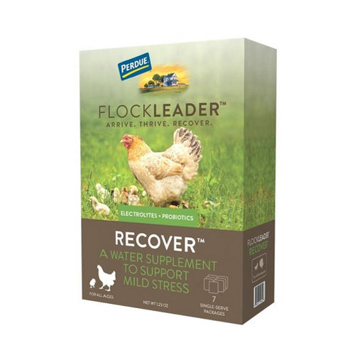 FlockLeader RECOVER Poultry Supplement 1.23 Oz by Flockleader Hot on Sale