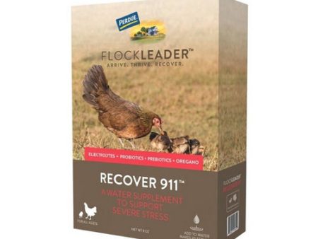 FlockLeader RECOVER 911 Poultry Supplement 8 Oz by Flockleader For Discount