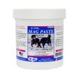 Su-Per Mag Paste Poultice 473.12 ML by Gateway Products For Discount